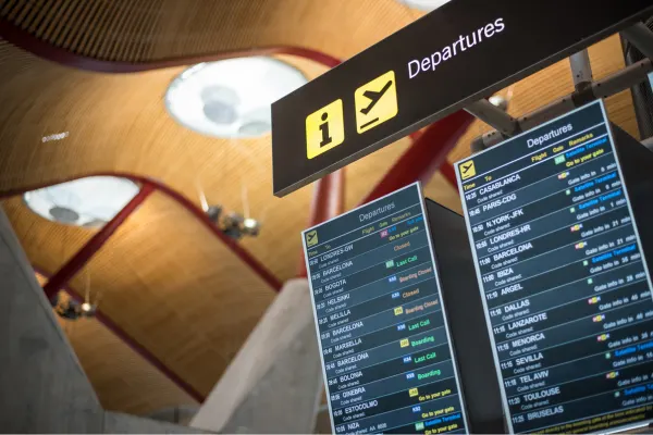 departure control system (dcs)