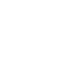 Government