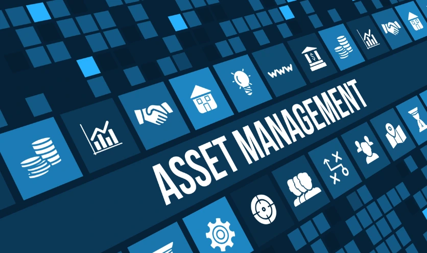 capital management 