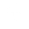 Government