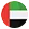 UAE flag