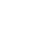 Security Testing