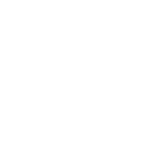 Software Development